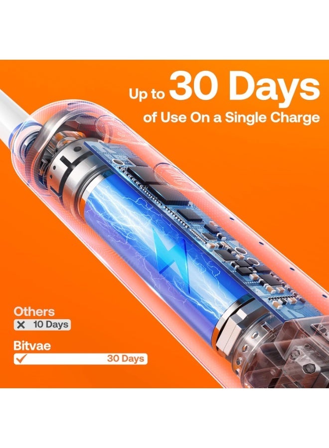 Bitvae R2 Rotating Electric Toothbrush for Adults with 8 Brush Heads, Travel Case, 5 Modes Rechargeable Power Toothbrush with Pressure Sensor, 3-Hour Fast Charge for 30 Days - Image 4